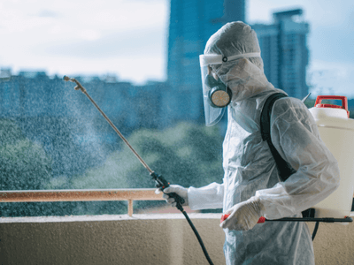 About Termite Inspection Dava‑Lakeshore - termite inspection experts in Dava‑Lakeshore